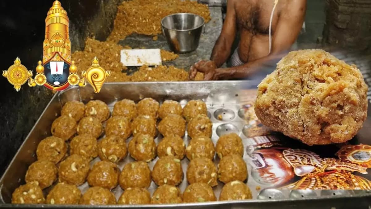 దేవుళ్లను రాజకీయాలకు దూరంగా ఉంచండి: తిరుపతి లడ్డూ వ్యవహారంపై సుప్రీంకోర్టు — వార్తలు