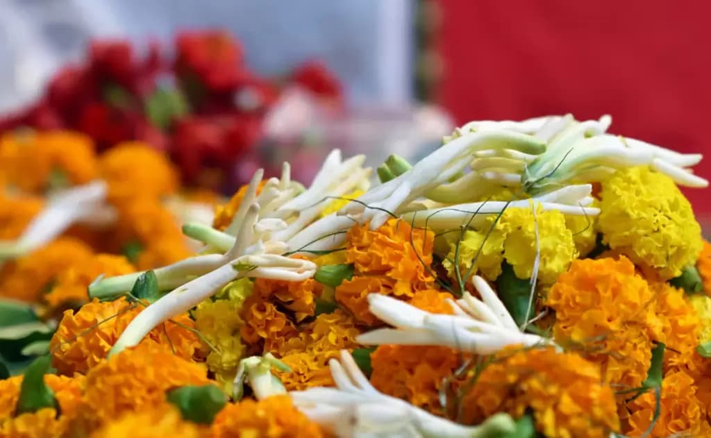 భగవంతుణ్ణి అర్చించడానికి - నిజమైన అష్టదళ పుష్పాలు