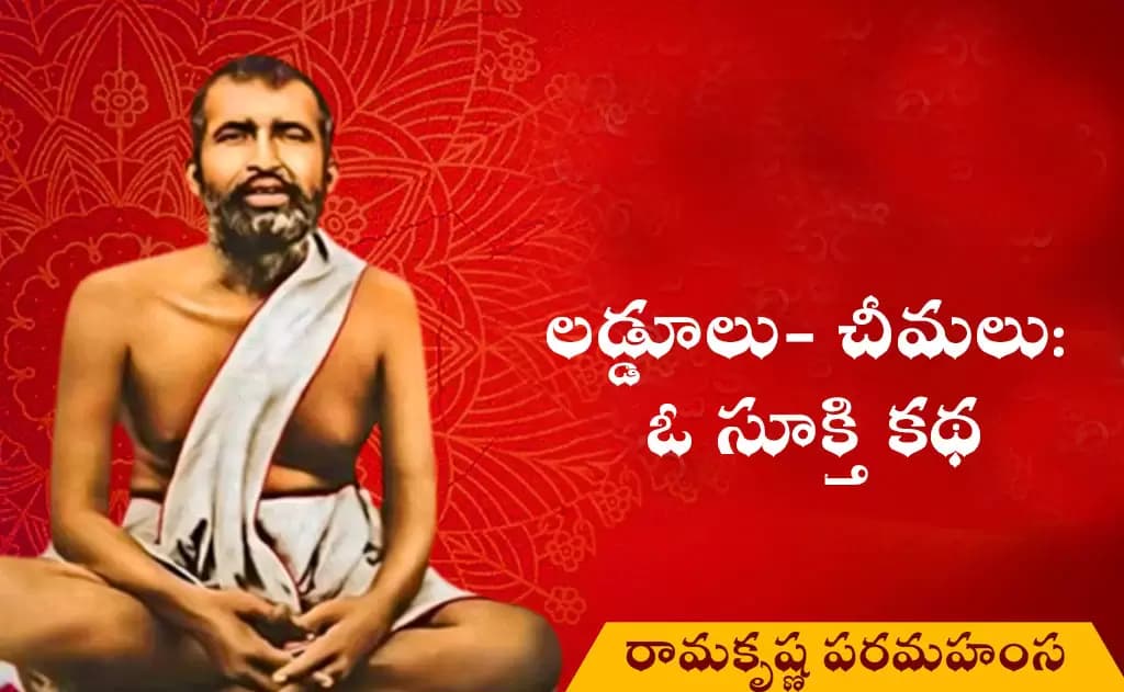 లడ్డూలు- చీమలు: ఓ సూక్తి కథ
