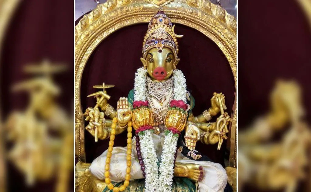 వారాహి నవరాత్రి అద్భుతం: వరాహ ముఖి దేవి దివ్య కృపతో ఆకస్మిక మరణం నుండి బయటపడిన భక్త సాధకుడు
