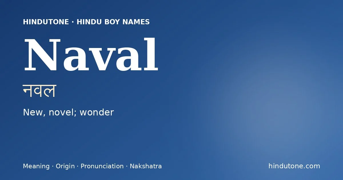నవల