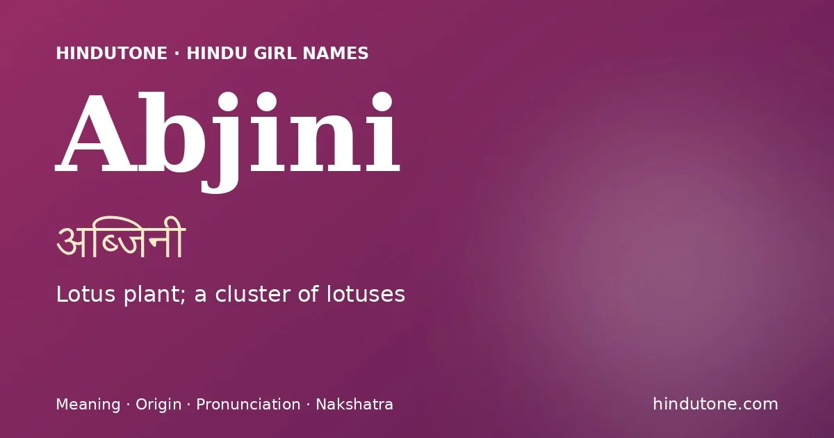 అబ్జిని