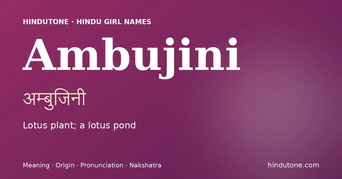 అంబుజిని