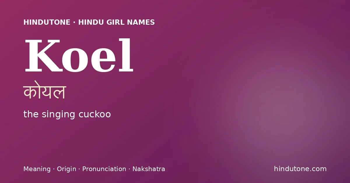 కోయల్